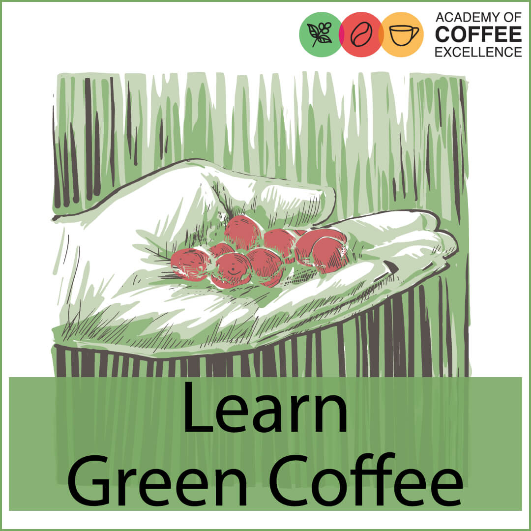 Learn Arabica & Robusta Green Coffee