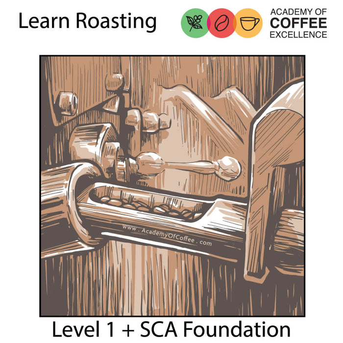 Roaster Level 1 - SCA Foundation & Essential Skills QUITO, ECUADOR